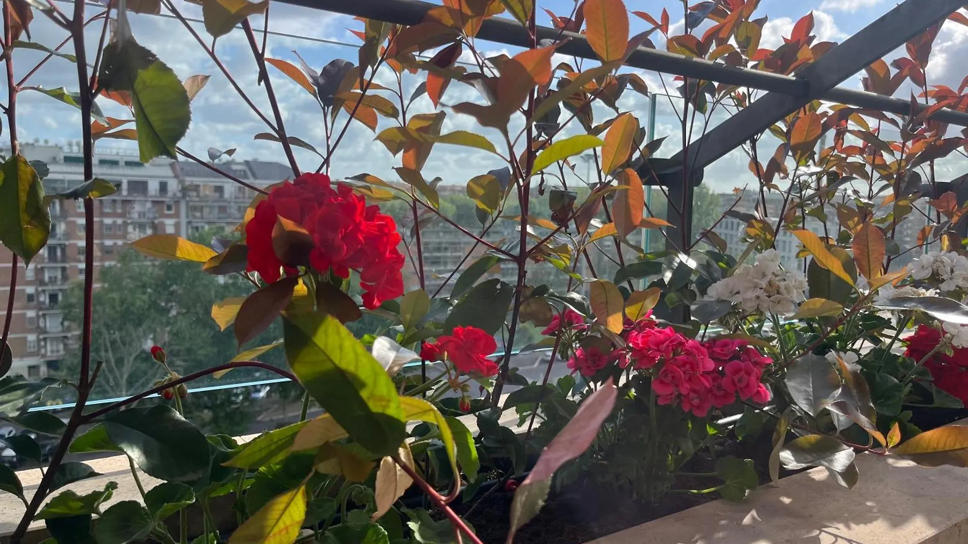 Luxory House Alessia Apartment Rome